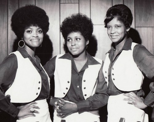 Cavalettes