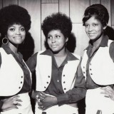Cavalettes