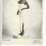 DianneLewis
