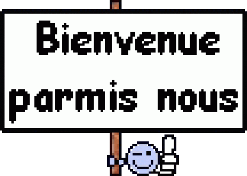 Smiley_Gif_Bienvenu.gif