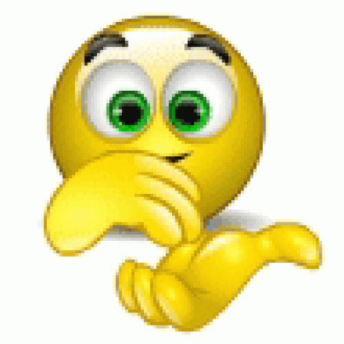 Smiley_Gif_Bravo2.gif