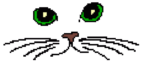 chat cat
