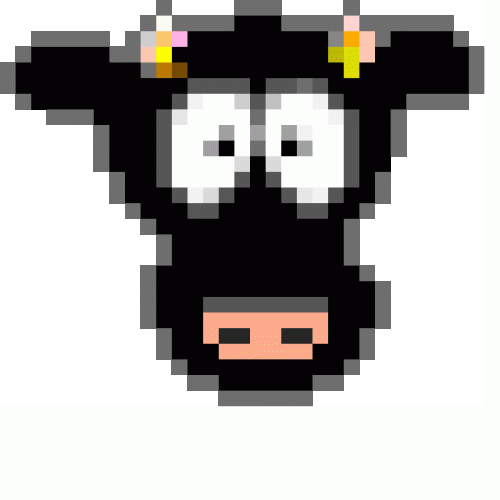 vache noire