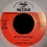 Teddie_Morrow_Seibu0001