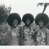 176_Dolls