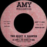 lee-jones-and-the-sounds-of-soul-this-heart-is-haunted-amy