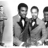 Ascots_Aristocrats