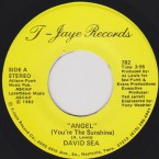 David_Sea_T-Jaye_782