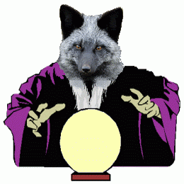 silverfox_sweet_Boule-de-cristal.gif
