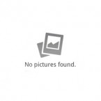 no-pic-found