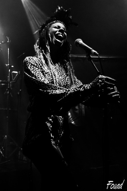 Brand_New_Heavies_01.jpg