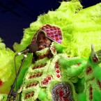 509935WildMagnoliasBigChiefBoDollistheNewOrleansJazzFest