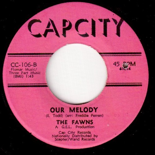 Fawns Capcity 106B