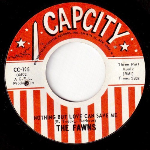 Fawns Nothing Capcity 105