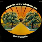 Dramatics-Whatcha_See_Is_Whatcha_Get_recto