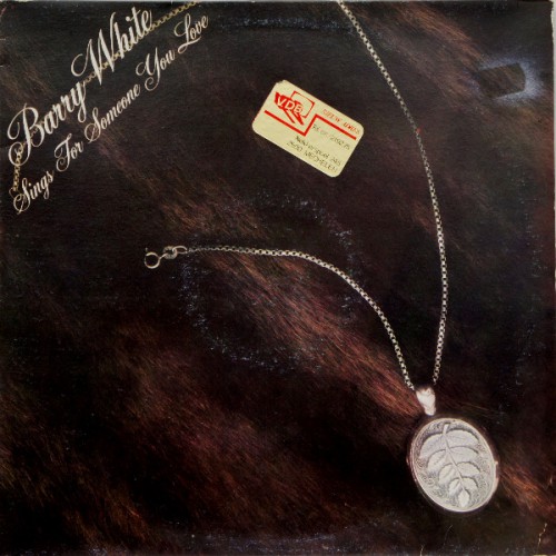 WhiteBarrySingsForSomeoneYouLovepochettebrune.jpg