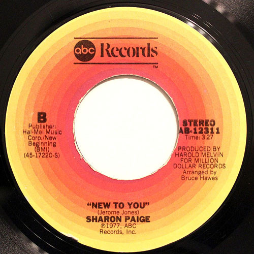 Sharon_Paige_-_New_To_You.jpg