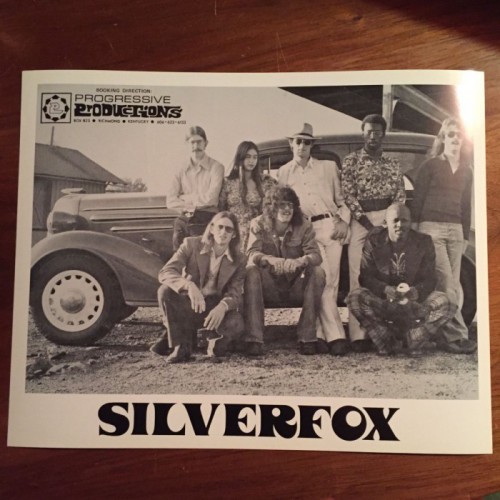 Silverfox