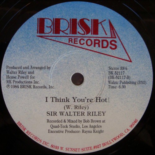 Sir Walter Riley Make Me Feel Good