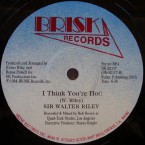 Sir_Walter_Riley-Make_Me_Feel_Good