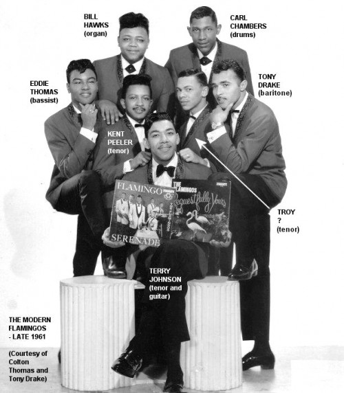 Flamingos_1961.jpg