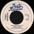 Funky_Rainbow-What_I_Want_Is_What_I_Get