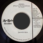 David-sea-angel-Hy-Tyde_101