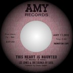 Lee-Jones-The-Sounds-Of-Soul-This-Heart-Is-Haunted-68