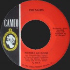 Evie-Sands-Picture-me-gone_Cameo_C413