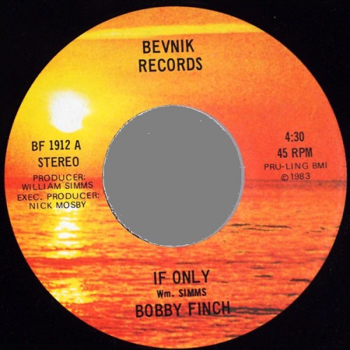 Bobby_Finch-If_Only_Bevnik.jpg