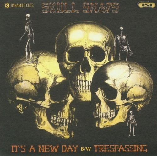 45T---Skull-Snaps_2019_Its-A-New-Day--Dynamite-Cuts-Dynamite-Cuts-DYNAM-7007.jpg