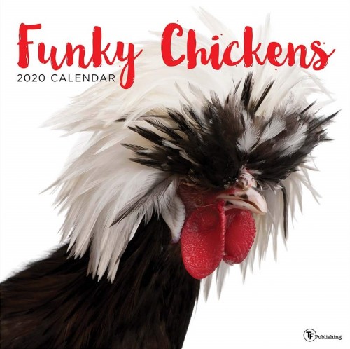 CALENDER-2020---Funky-Chickens01.jpg