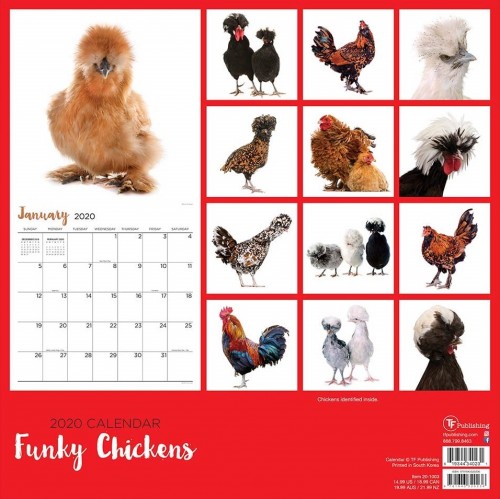 CALENDER-2020---Funky-Chickens02.jpg