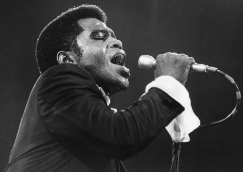 James-Brown12.jpg