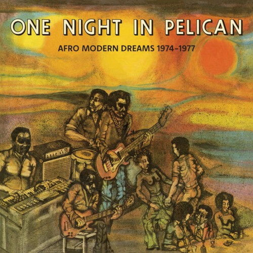 One_night_Pelican.jpg