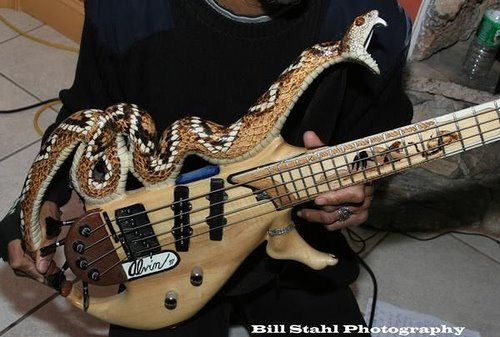 basse-serpent.jpg