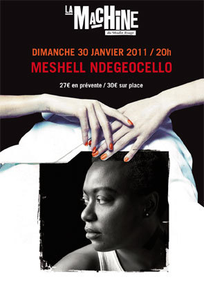 Meshell-NdegeOcello-2011.jpg