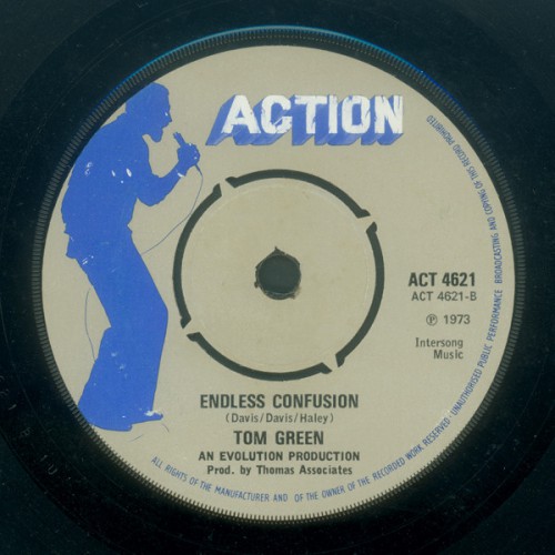 Tom_Green_-_Endless_Confusion.jpg