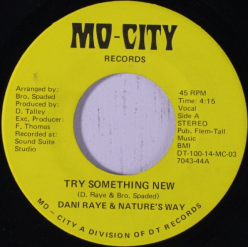 Dani_Raye_-_Try_Something_New.jpg