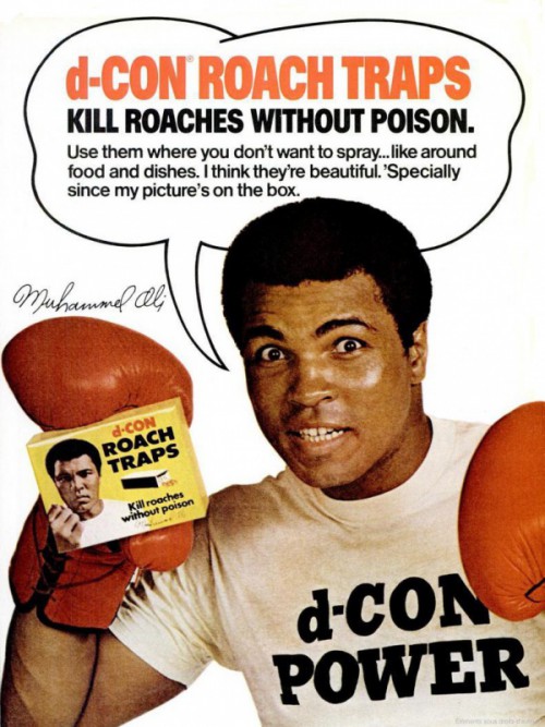 554978dconroaches1979ali.jpg
