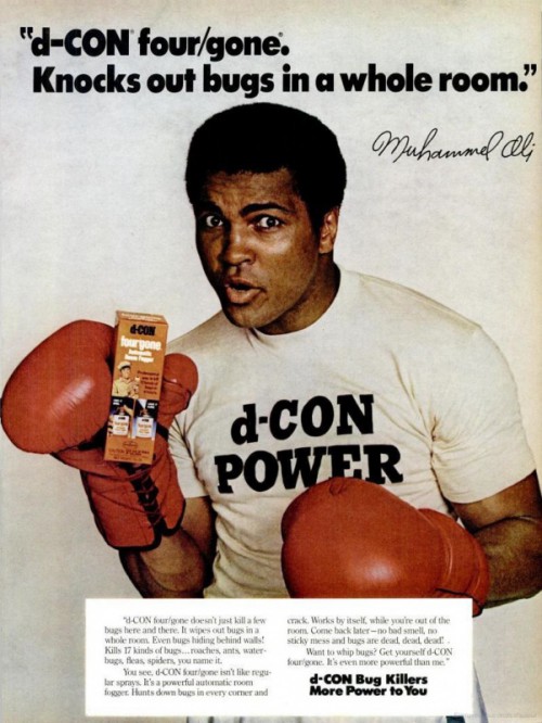 617411dconroaches1979ali2.jpg