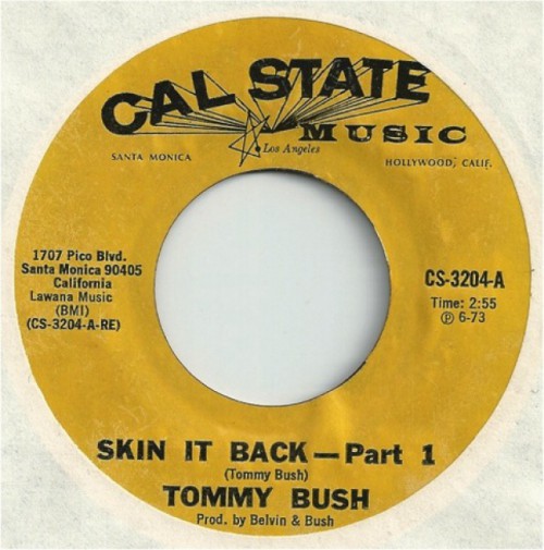 91439645TTommyBush1973SkinItBackParts12CalStateMusicCS3204FACEA.jpg