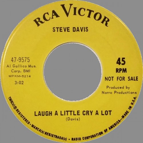 Steve_Davis_-_Laugh_A_Little_Cry_A_Lot.jpg