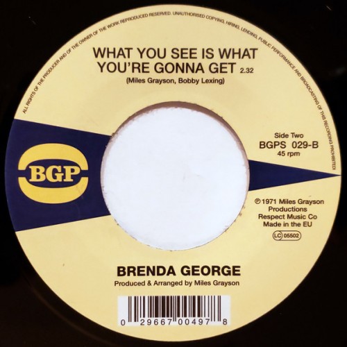 45T---Brenda-George_2010_I-Cant-Stand-It-I-Cant-Take-It-No-More--What-You-See-Is-What-Your-Gonna-Get-BGP-BGPS-029-FACEB.jpg