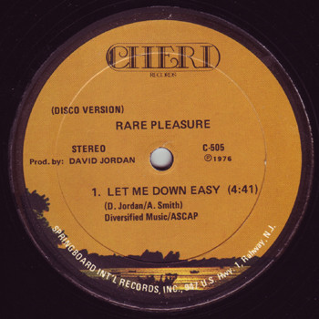 Rare_Pleasure_-_Let_Me_Down_Easy.jpg